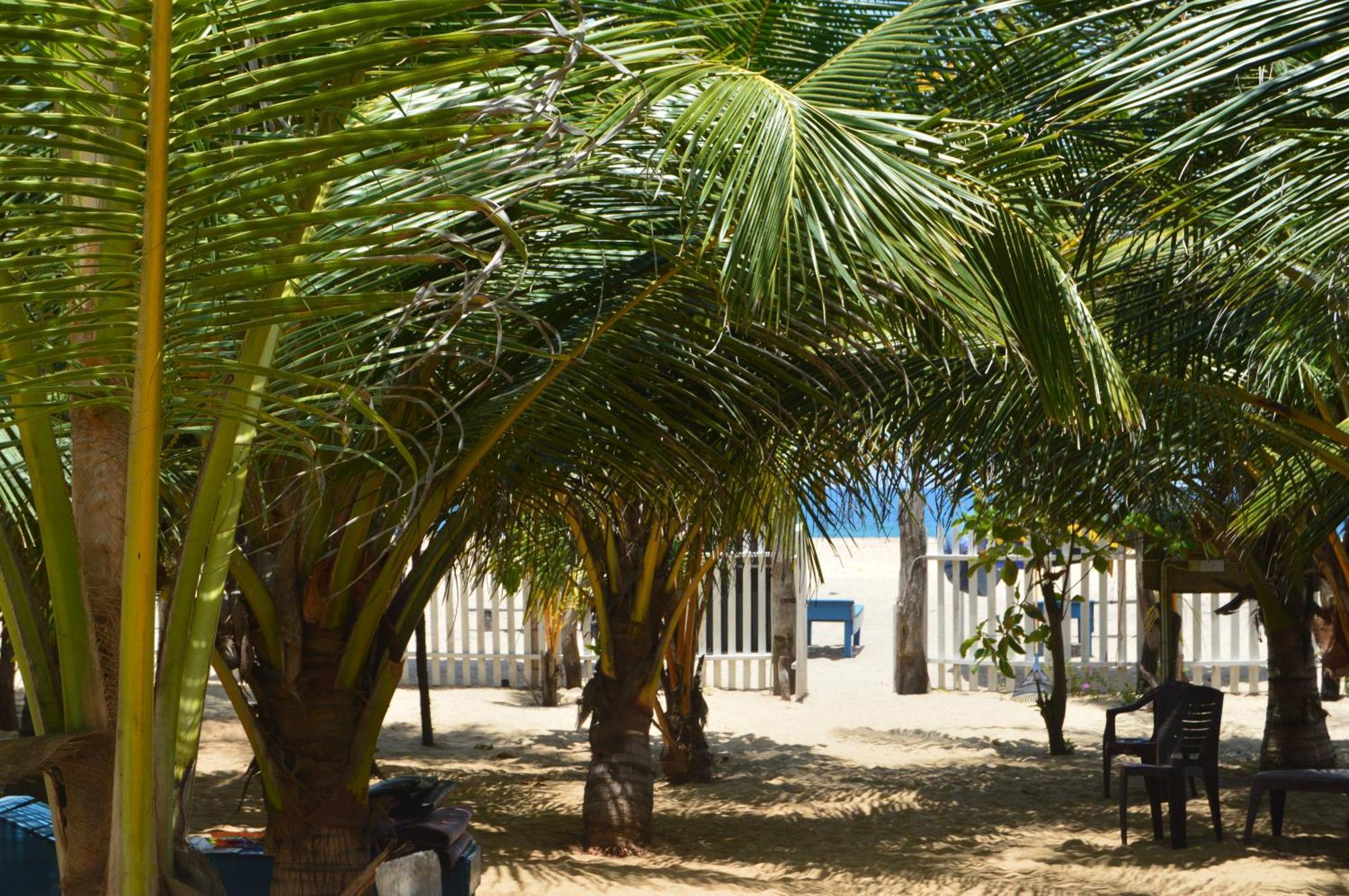 Shim Beach Resort Arugam Bay Eksteriør billede